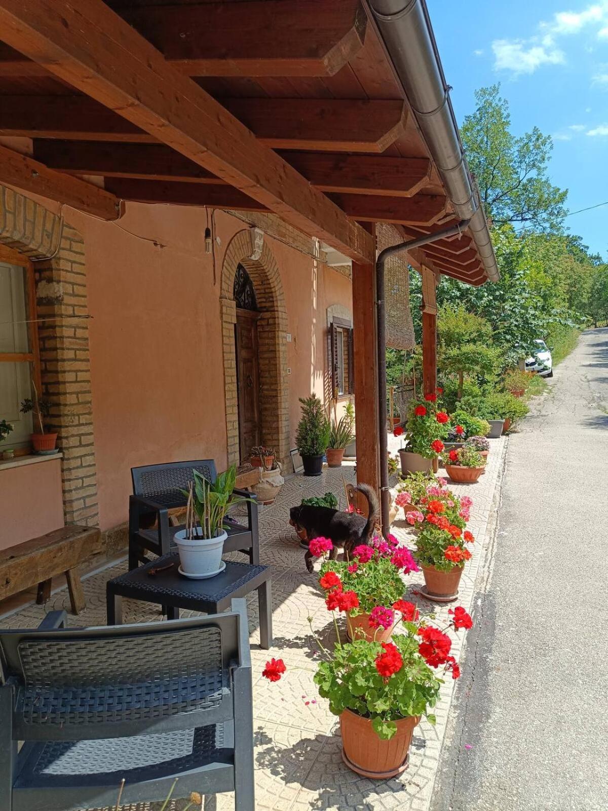Alloggio Intero In Casa Contadina Nel Verde Ai Piedi Della Majella - Agricasa Caprafico Casoli  Luaran gambar